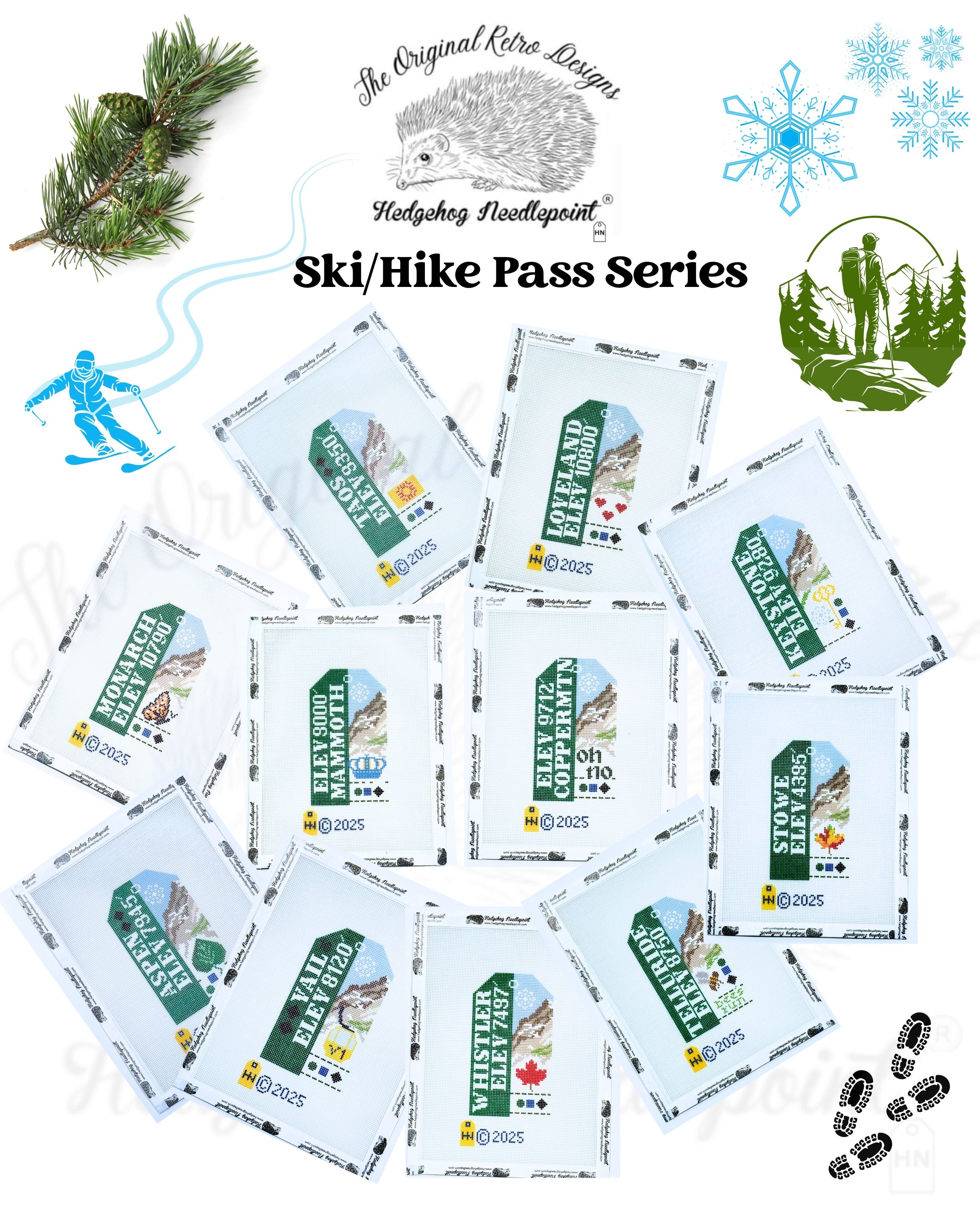 Aspen Ski/Hill Pass Retro Travel Tag Needlepoint Canvas