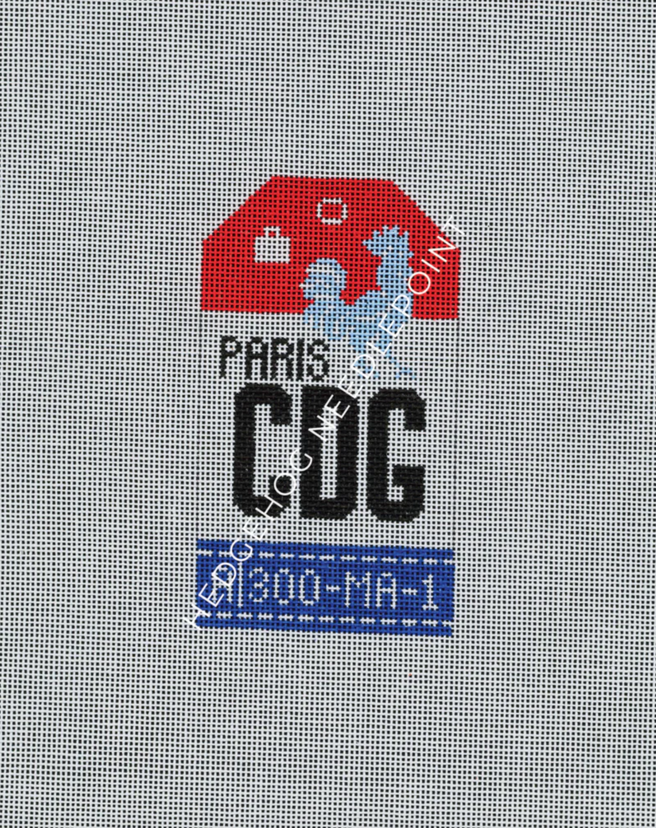 Paris 13 Mesh Needlepoint Canvas