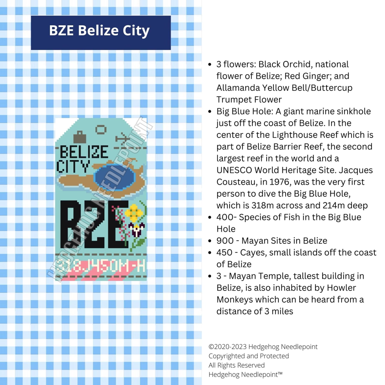 Belize City Retro Travel Tag Stitch Printed™️ Needlepoint Canvas