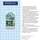 Belize City Retro Travel Tag Stitch Printed™️ Needlepoint Canvas